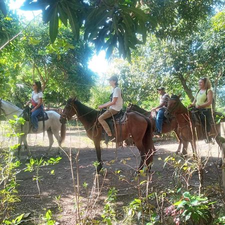 Rosa'S Lake Cabins Mérida エクステリア 写真