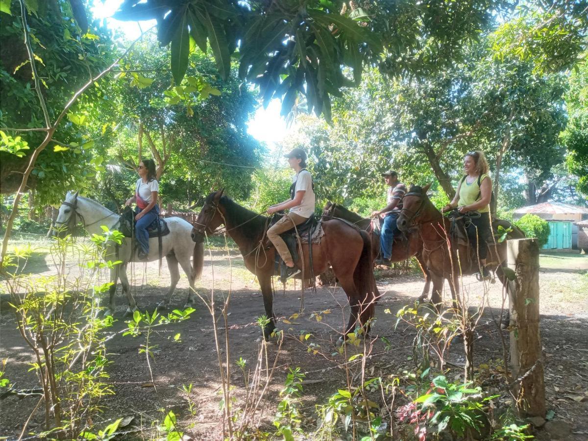 Rosa'S Lake Cabins Mérida エクステリア 写真