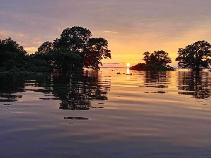 Rosa'S Lake Cabins Mérida エクステリア 写真